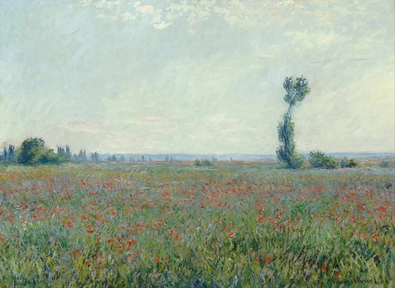 Champ de coquelicots W677 – Claude Monet