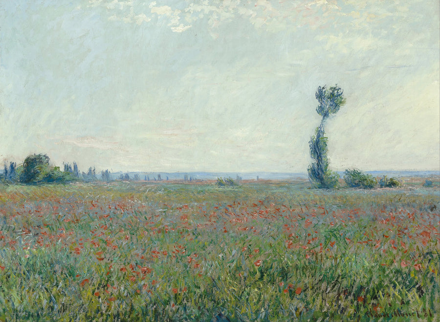 Champ de coquelicots W677 – Claude Monet