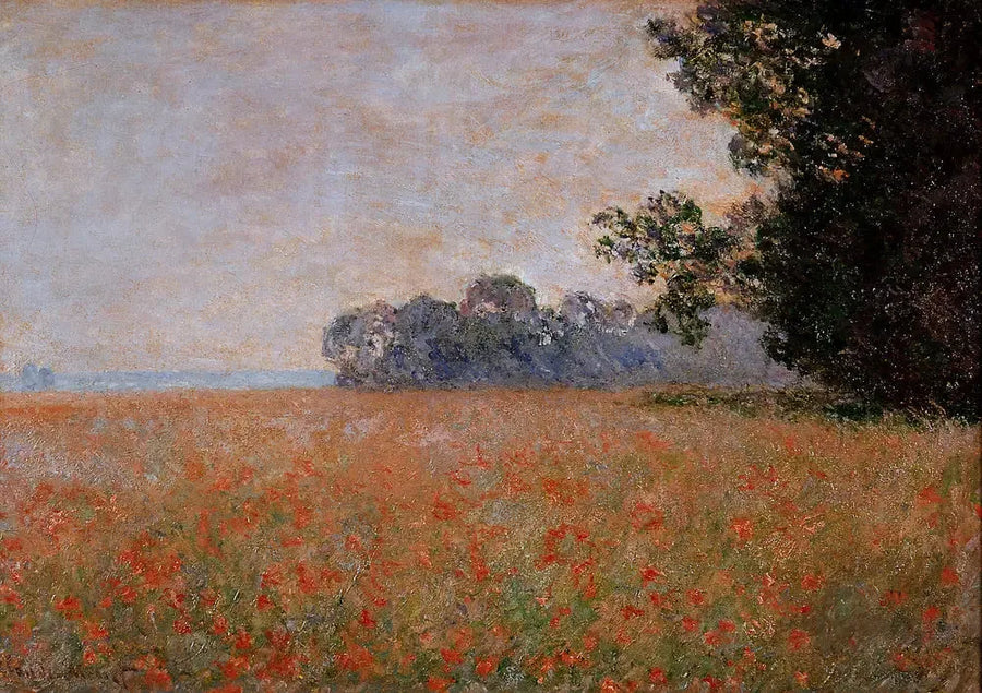 Champ d'avoine aux coquilles - Claude Monet