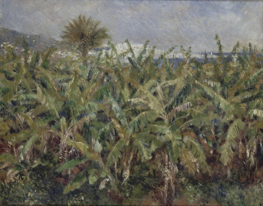 champ de bananes - Pierre-Auguste Renoir
