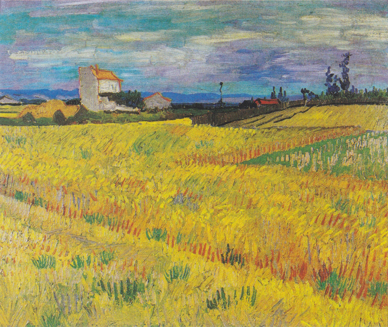 Champ de blé, F564 – Van Gogh