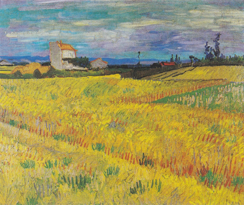 Champ de blé - Vincent van Gogh