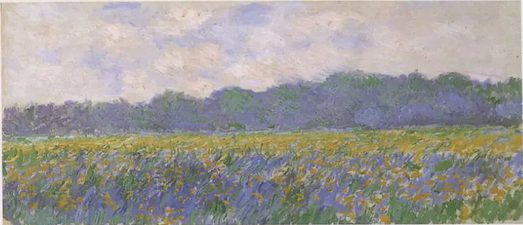 Champ d'iris jaunes à Giverny - Claude Monet