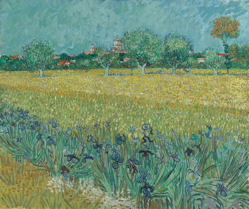 Champ avec iris près d’Arles, F409 – Vincent van Gogh