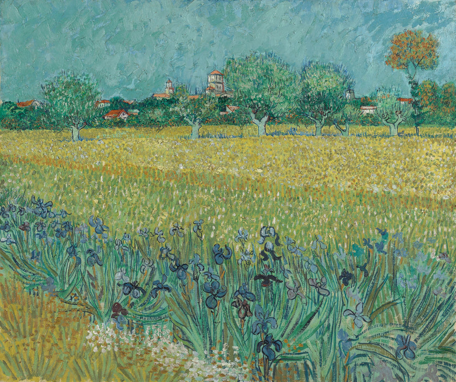 Champ avec iris près d’Arles, F409 – Vincent van Gogh