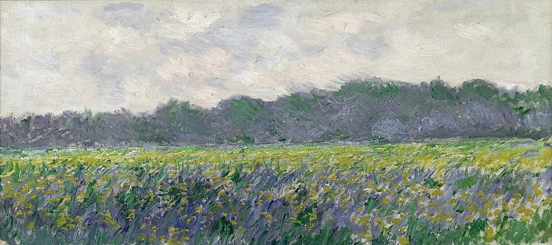 Champ d’iris jaunes à Giverny W1137 – Claude Monet