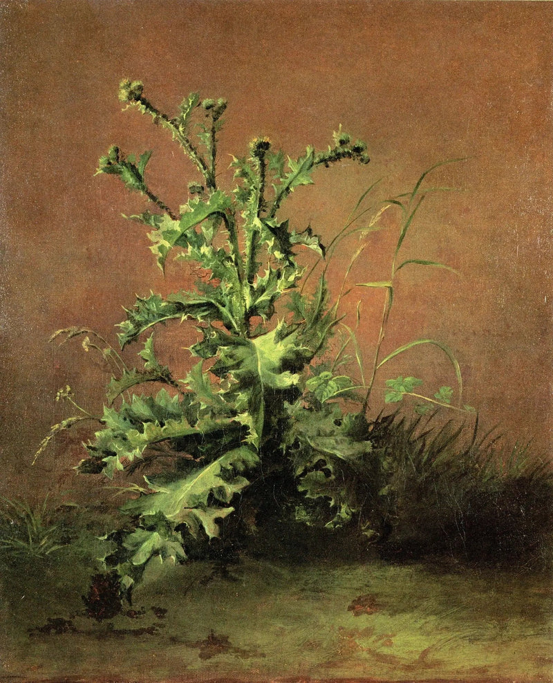 Chardons - Édouard Manet