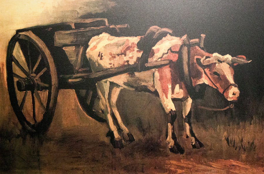 Charrette avec bœuf rouge et blanc, F38 – Van Gogh