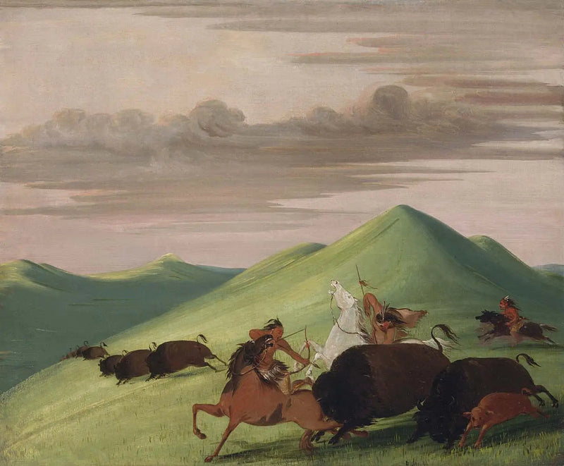Chasse au bison, taureau protégeant une vache et son veau - George Catlin