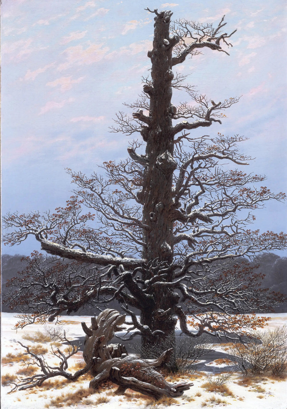 Chêne sous la neige - Caspar David Friedrich image 1 copie peinte à la main à l’huile