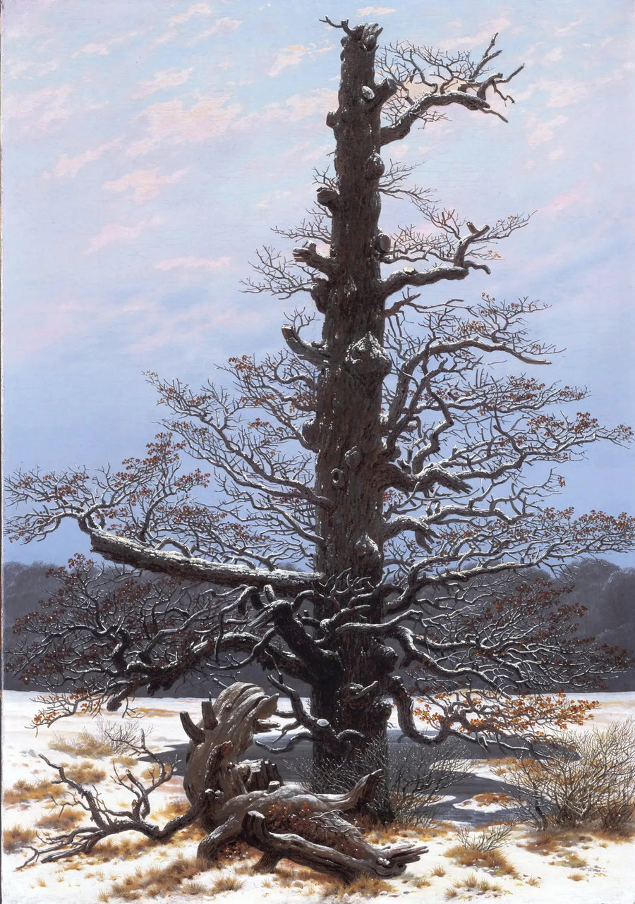 Chêne sous la neige - Caspar David Friedrich