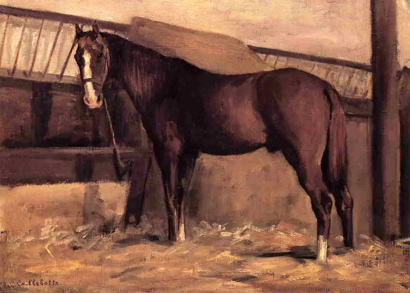 Cheval bai roux à l'écurie - Gustave Caillebotte