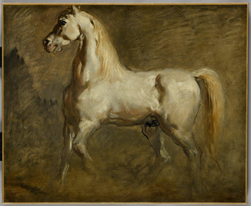 Cheval blanc de profil à gauche - Théodore Chassériau