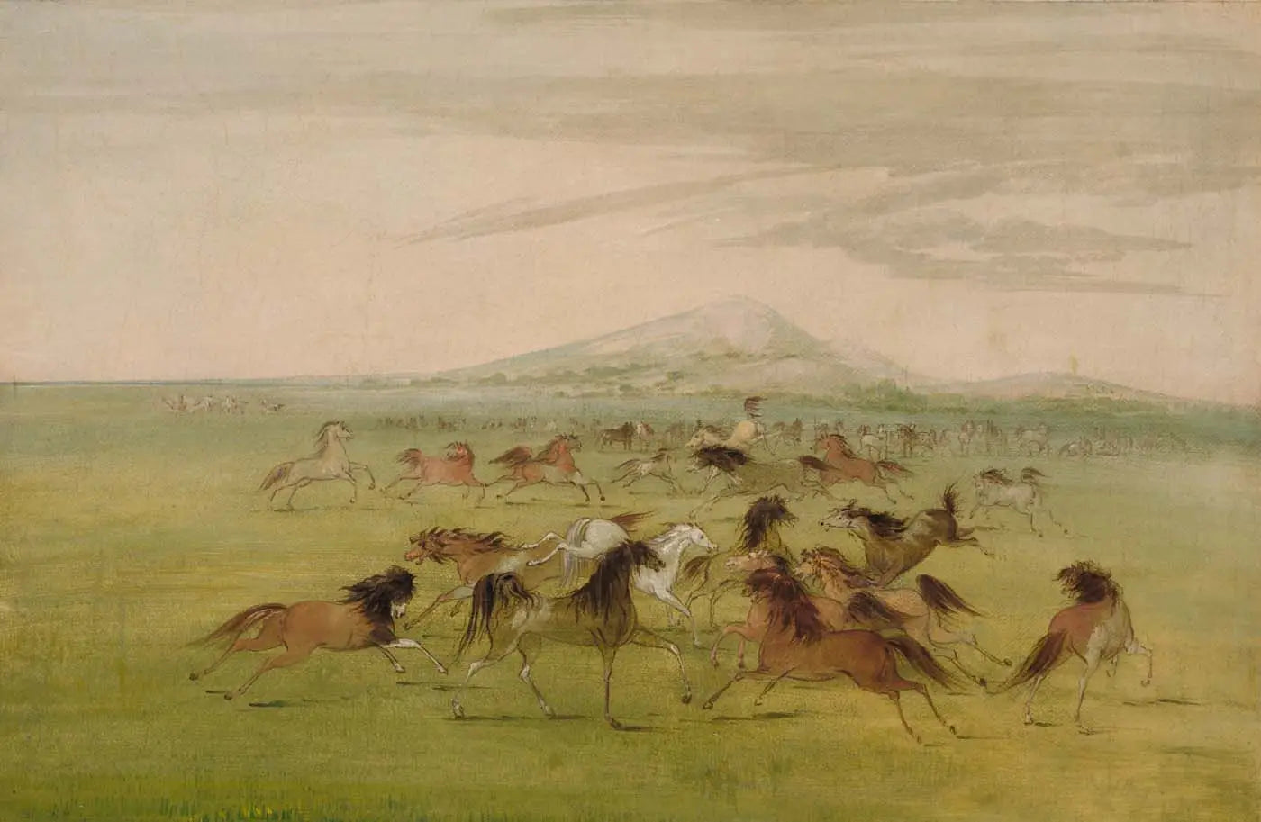 Chevaux sauvages en jeu - George Catlin - Alpha Reproduction