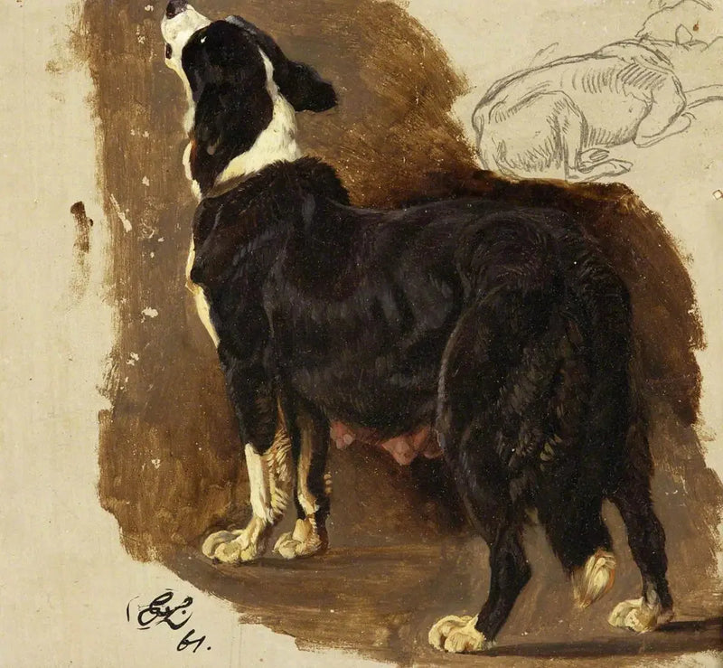 Chienne Colley - Edwin Henry Landseer