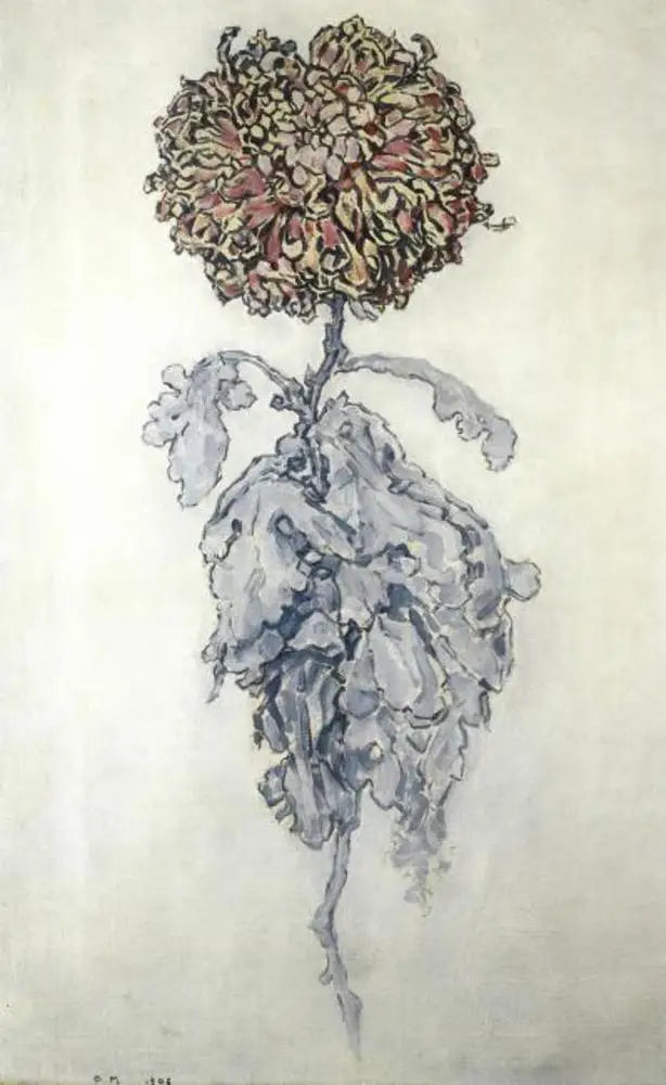 Chrysanthème - Piet Mondrian