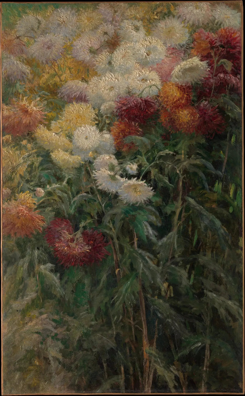 Chrysanthèmes au jardin du Petit Gennevilliers - Gustave Caillebotte