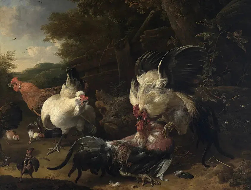 Combats de coqs - Melchior de Hondecoeter