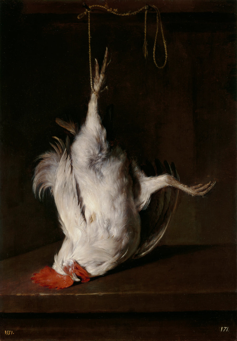 Coq mort - Gabriel Metsu