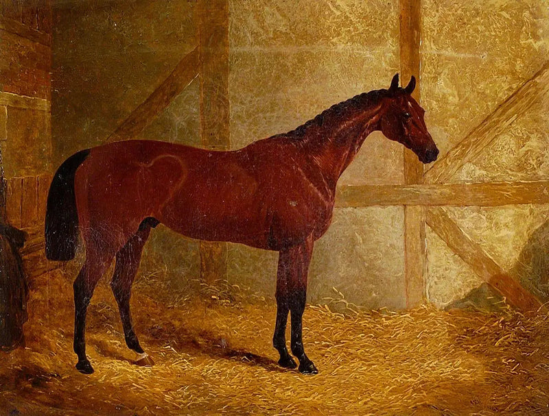Cotherstone, vainqueur du Derby - John Frederick Herring, Sr.
