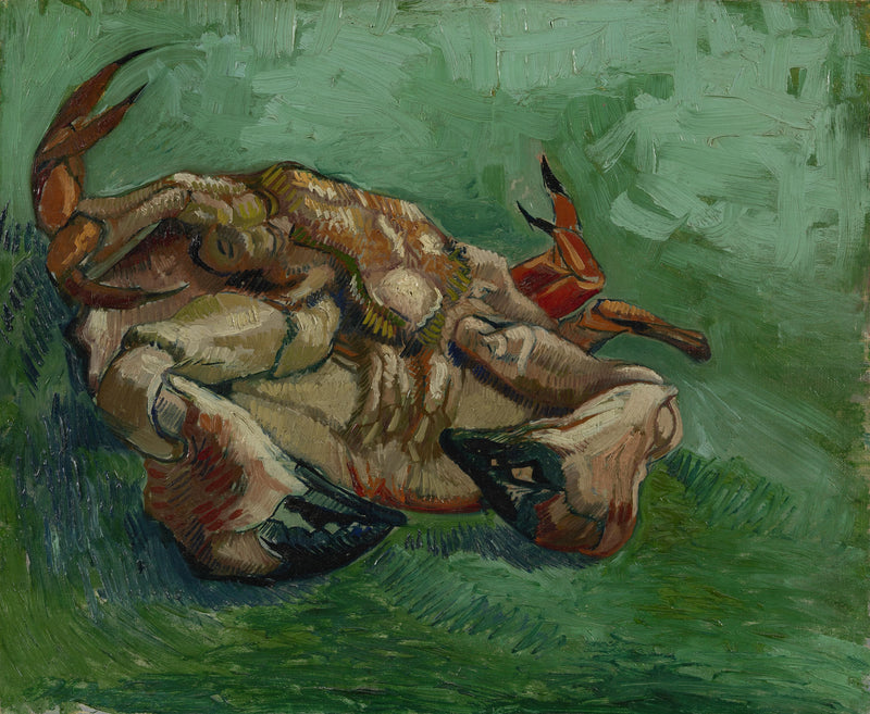 Crabe couché sur le dos, F605 – Van Gogh
