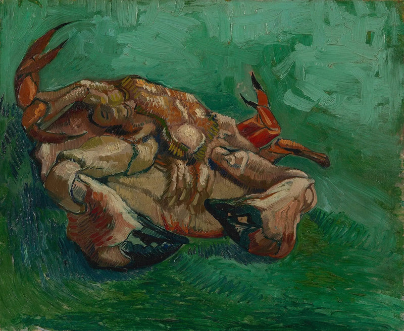 Crabe, couché sur le dos - Vincent van Gogh