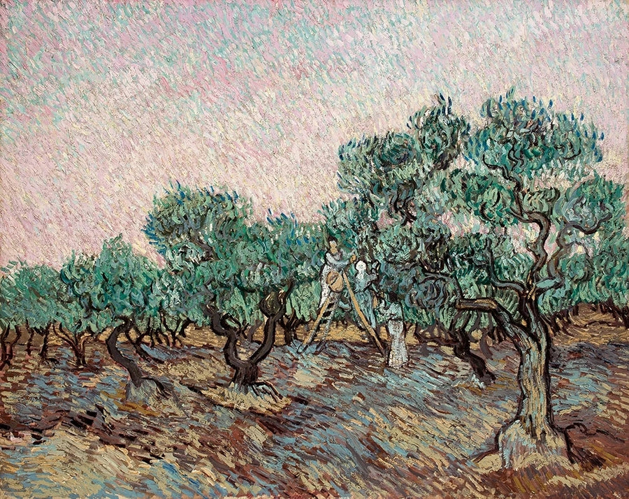 La Cueillette des olives – Vincent van Gogh