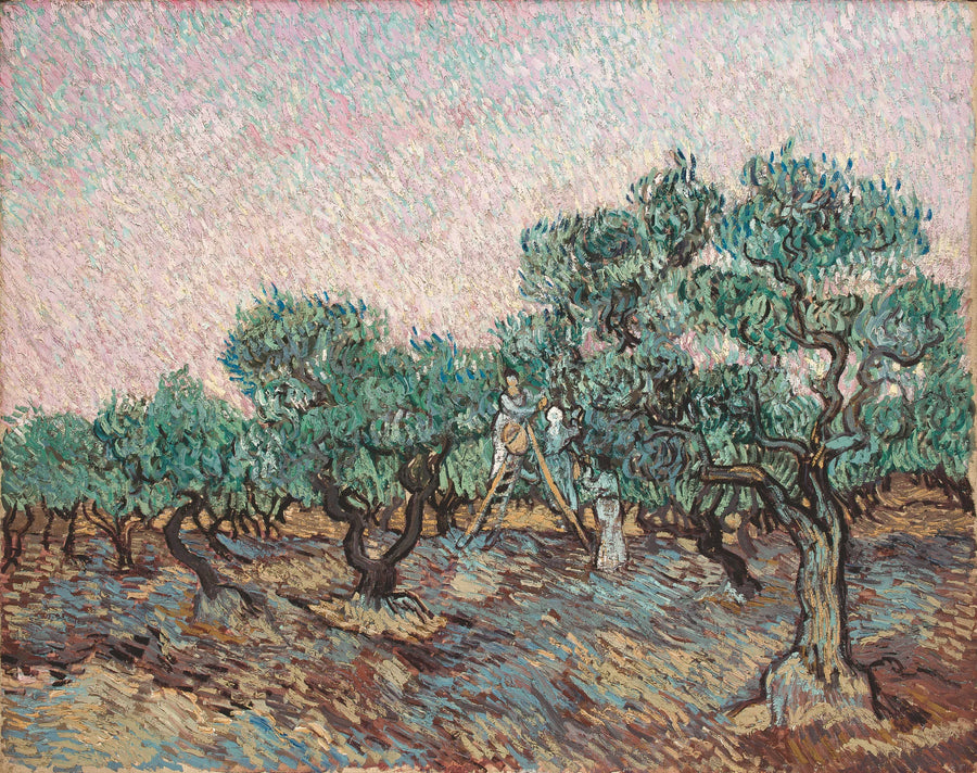 La Cueillette des olives, F654 – Vincent van Gogh