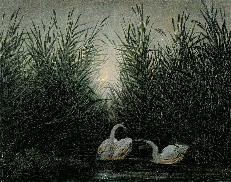 Cygnes dans les roseaux aux premières lueurs de l'aurore - Caspar David Friedrich