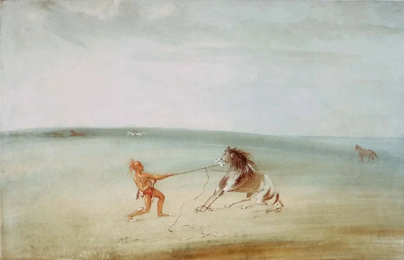 Décomposer le cheval sauvage - George Catlin