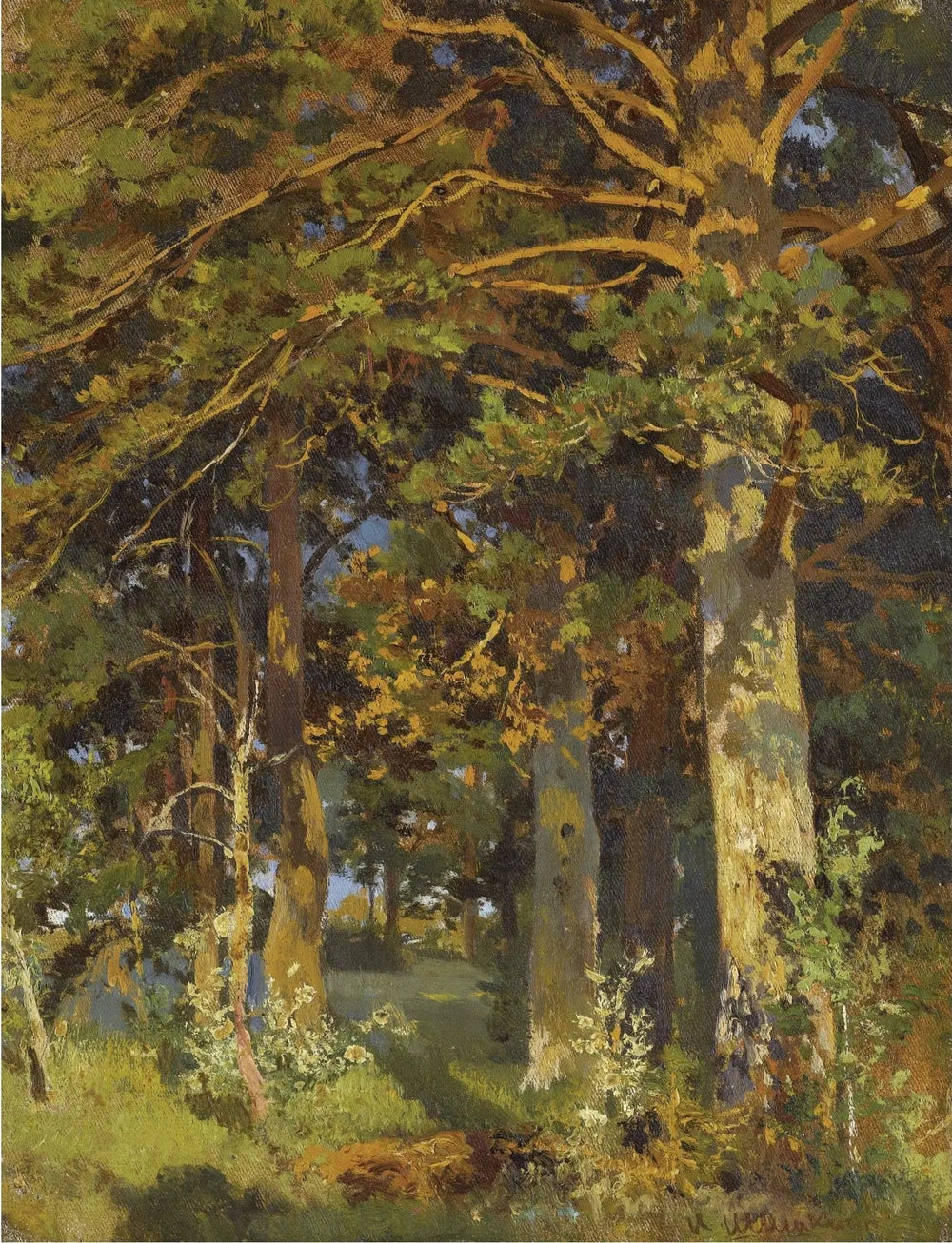 Défrichement forestier - Ivan Chichkine - Alpha Reproduction