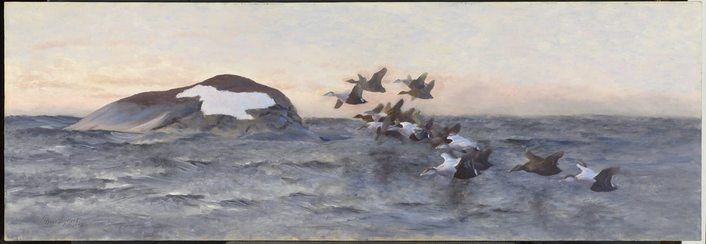 Des eiders volant près d'une falaise - Bruno Liljefors image 1 copie de tableau peinte à la main