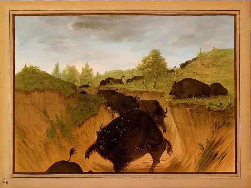 Des grizzlis attaquent des bisons - George Catlin - Alpha Reproduction