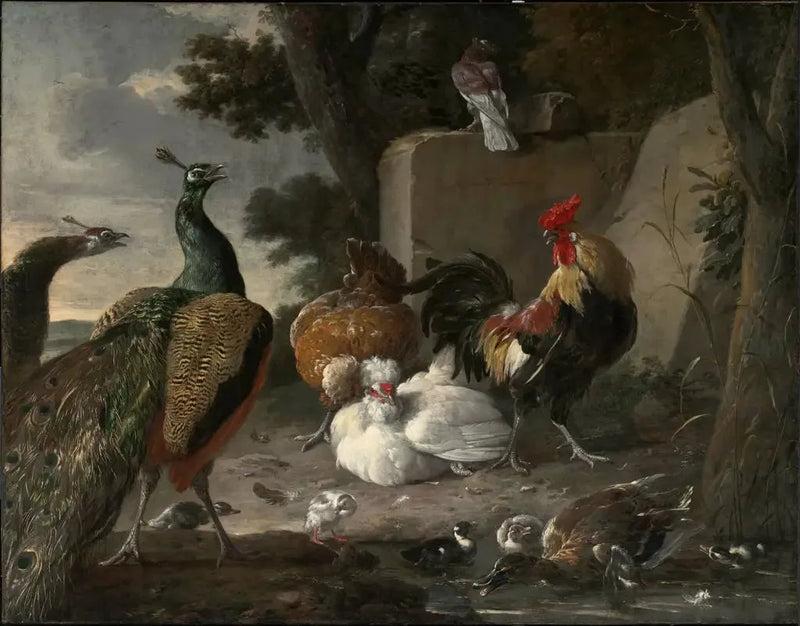Des paons en compagnie de la volaille d'une basse-cour - Melchior de Hondecoeter