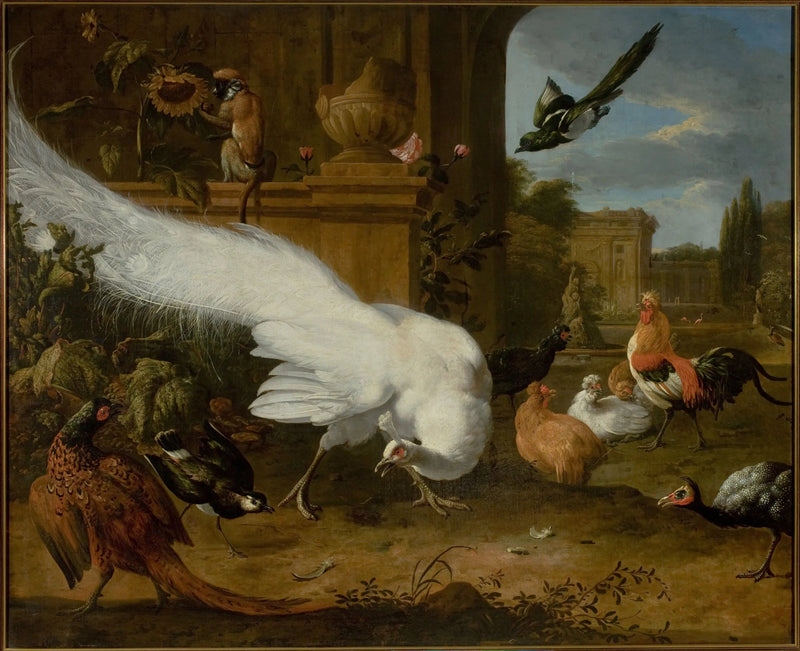 Des volailles et un paon blanc - Melchior de Hondecoeter
