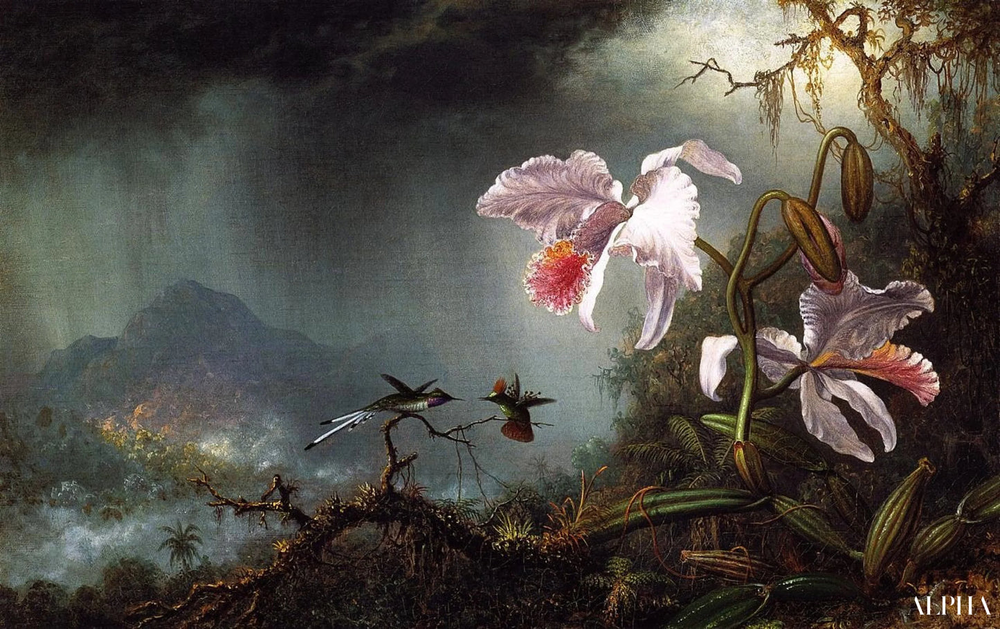 Reproduction du tableau « Deux colibris en combat avec deux orchidées - Martin Johnson Heade » par Alpha Reproduction en peinture à l’huile