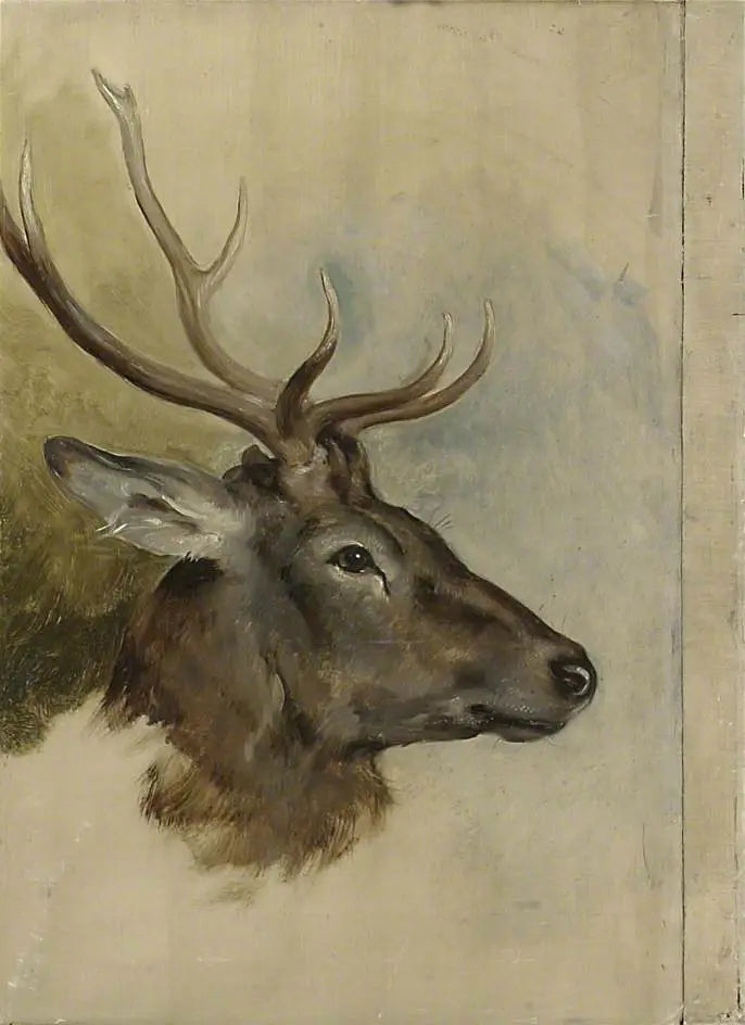 Deux études d’une tête de cerf (verso) - Edwin Henry Landseer - Alpha Reproduction