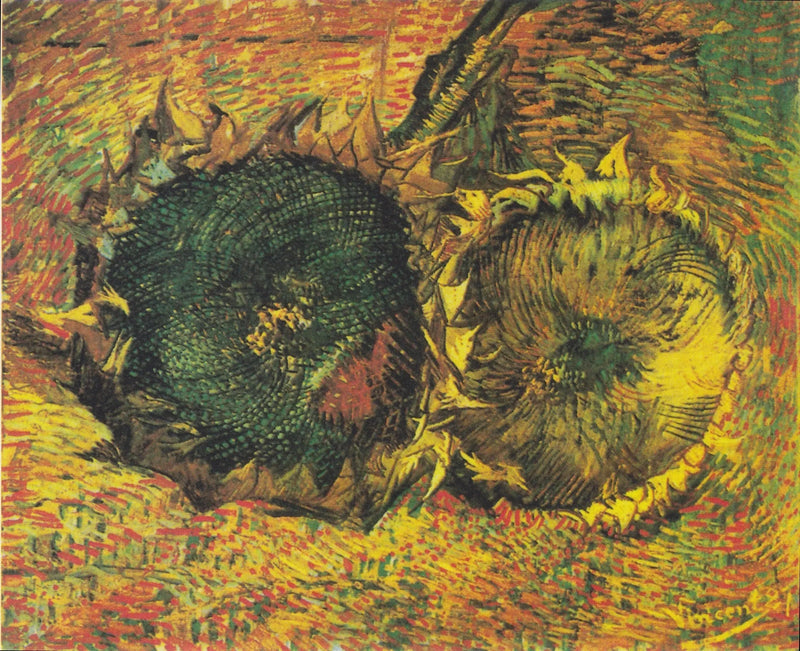 Deux Tournesols coupés, F376 – Vincent van Gogh