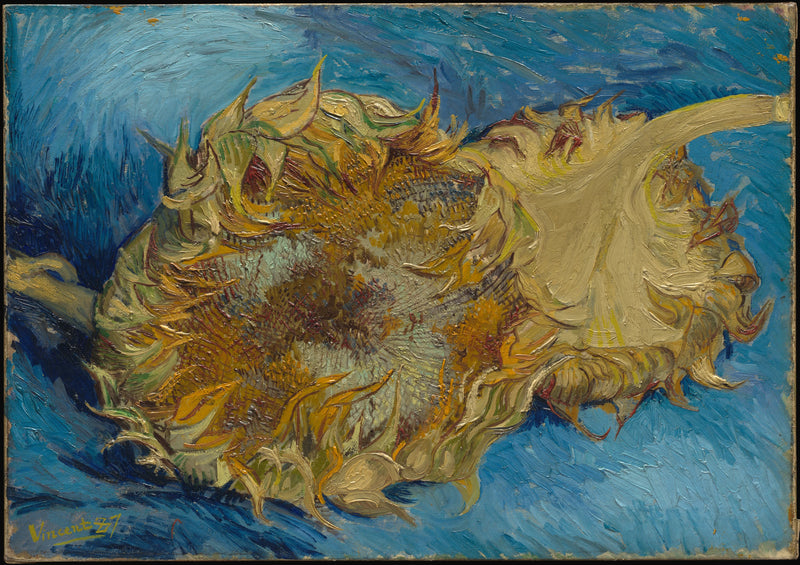 Deux Tournesols, F375 – Vincent van Gogh