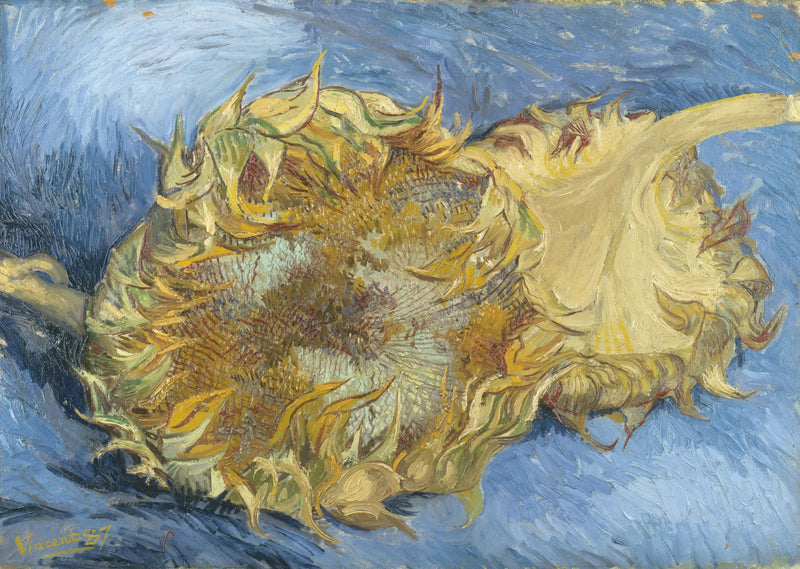 Deux Tournesols - Vincent van Gogh