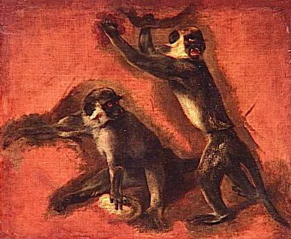 Double étude d'un singe - Pieter Boel