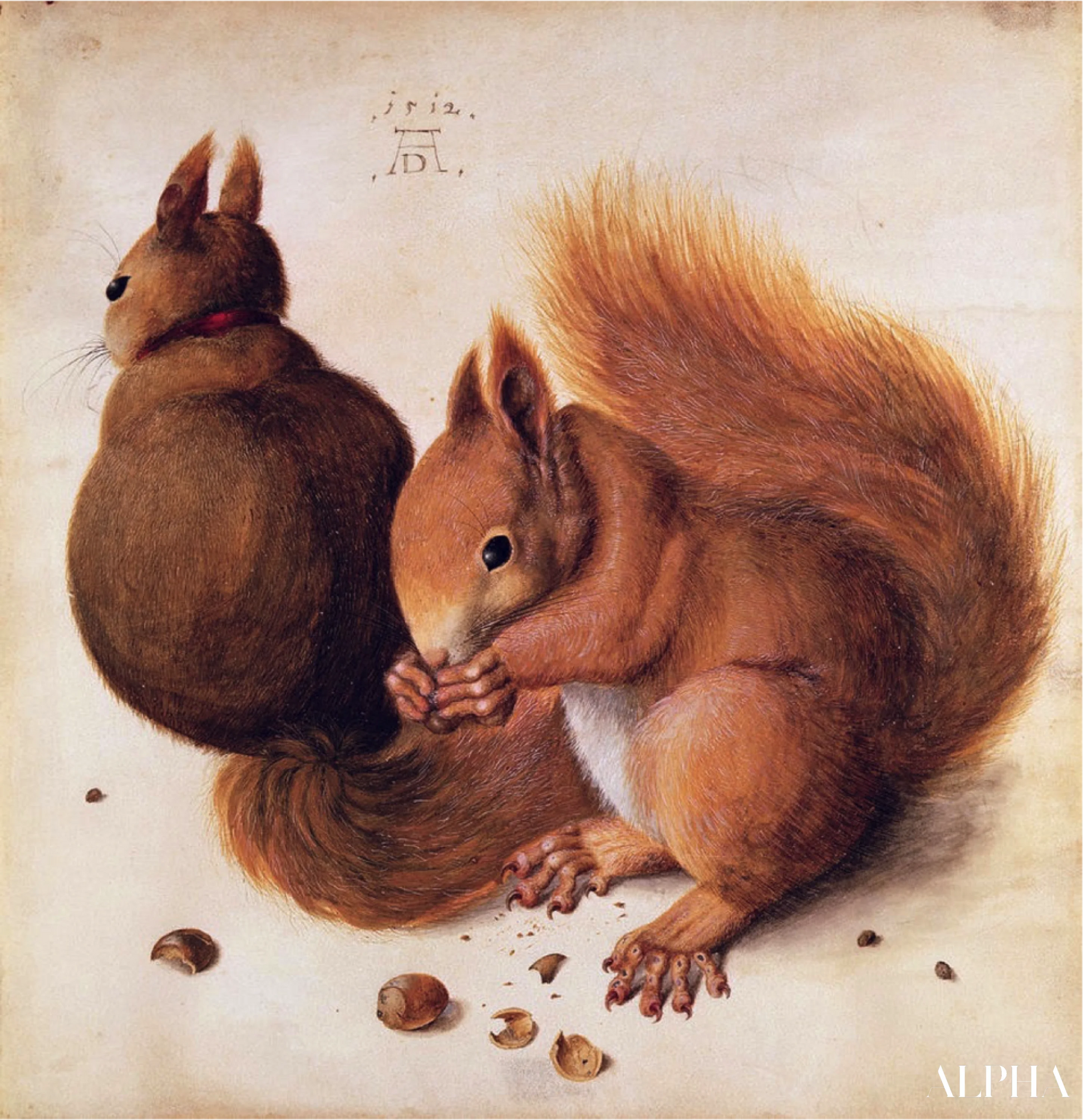 Reproduction du tableau « Ecureuils - Albrecht Dürer » par Alpha Reproduction en peinture à l’huile