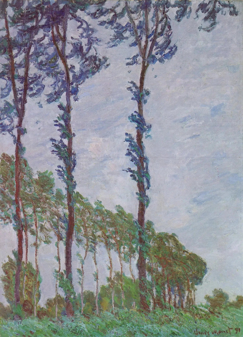 Effet de vent, série des peupliers - Claude Monet