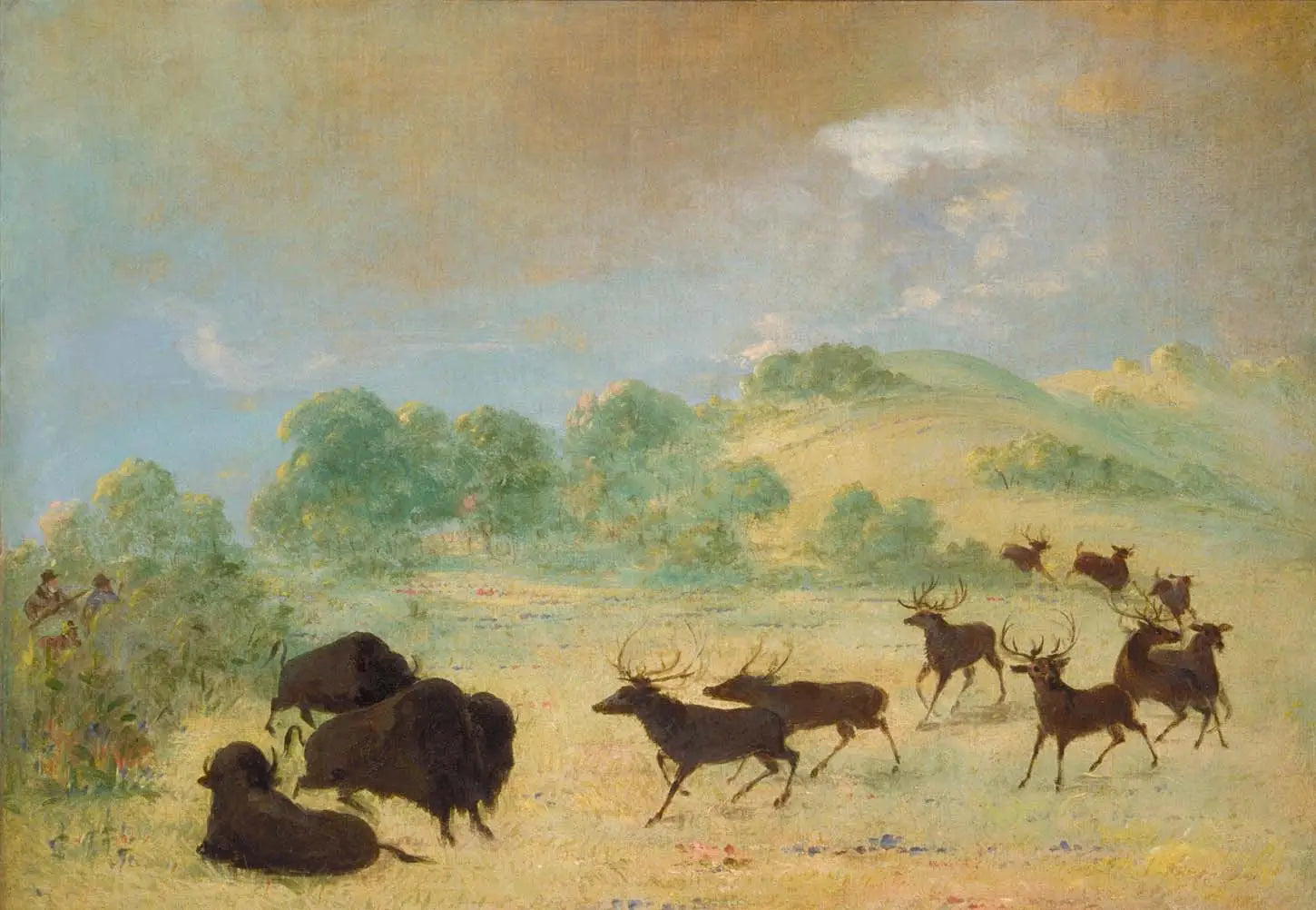 Élan et bison faisant connaissance Texas - George Catlin - Alpha Reproduction