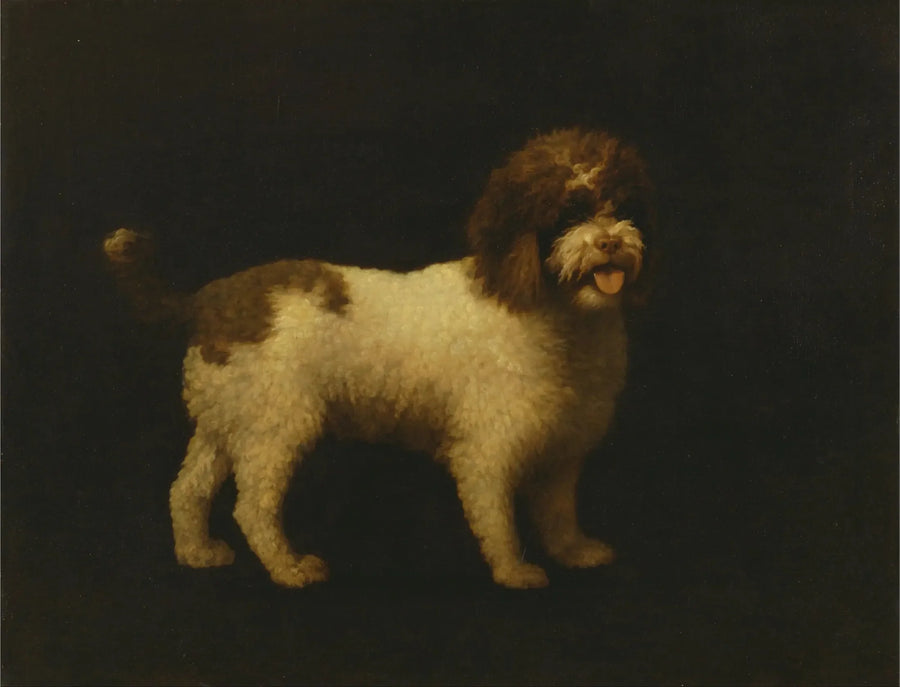 Épagneul d'eau - George Stubbs