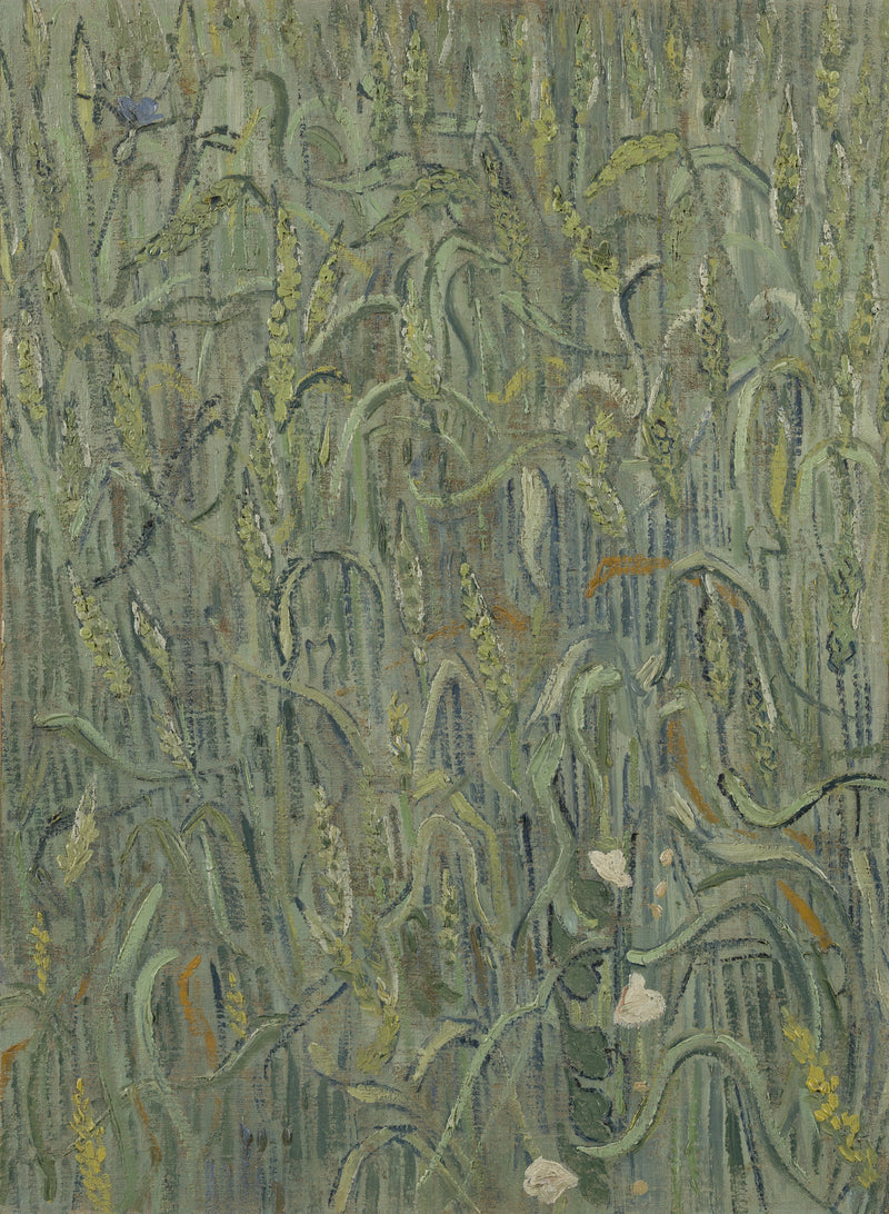 Épis de blé – Vincent van Gogh
