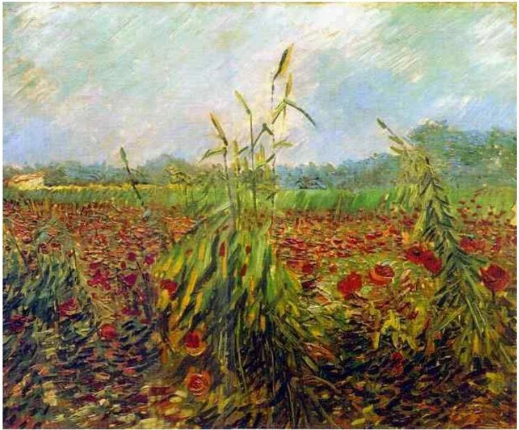 Épis de blé verts, F562 – Van Gogh