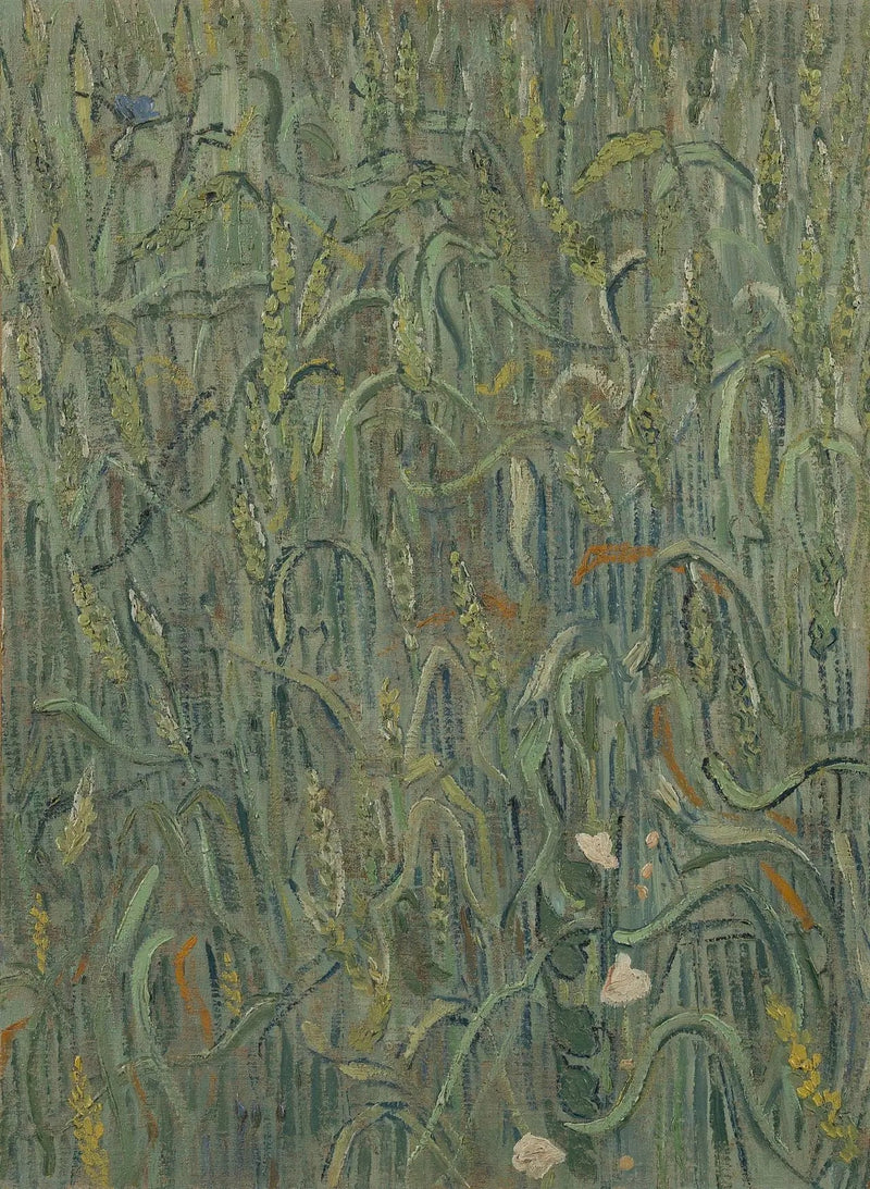Épis de blé - Vincent van Gogh