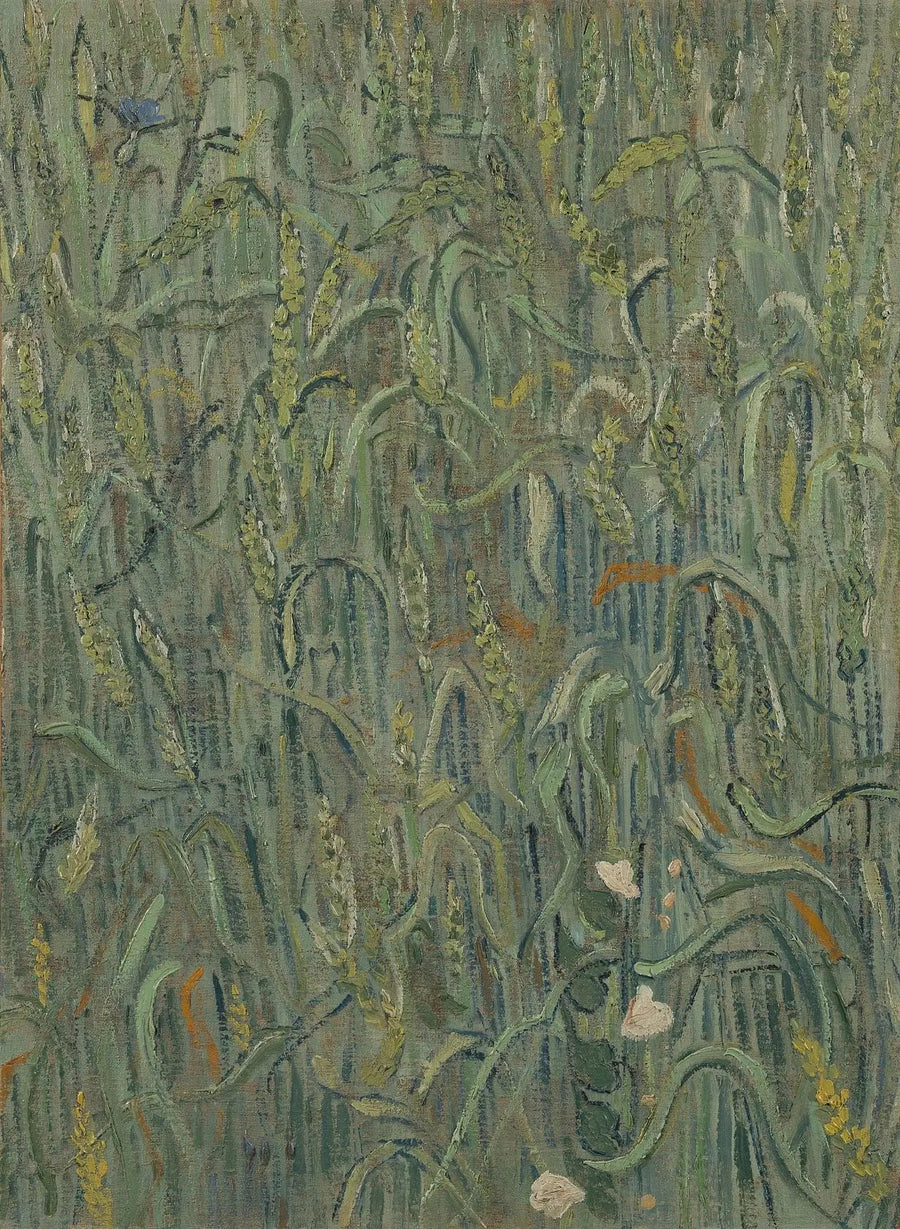 Épis de blé - Vincent van Gogh