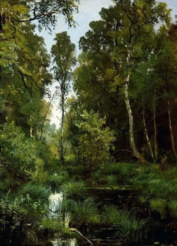 Étang envahi par la végétation à l'orée de la forêt. Siverskaya - Ivan Chichkine